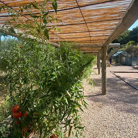 Villa Alba Rosula-3